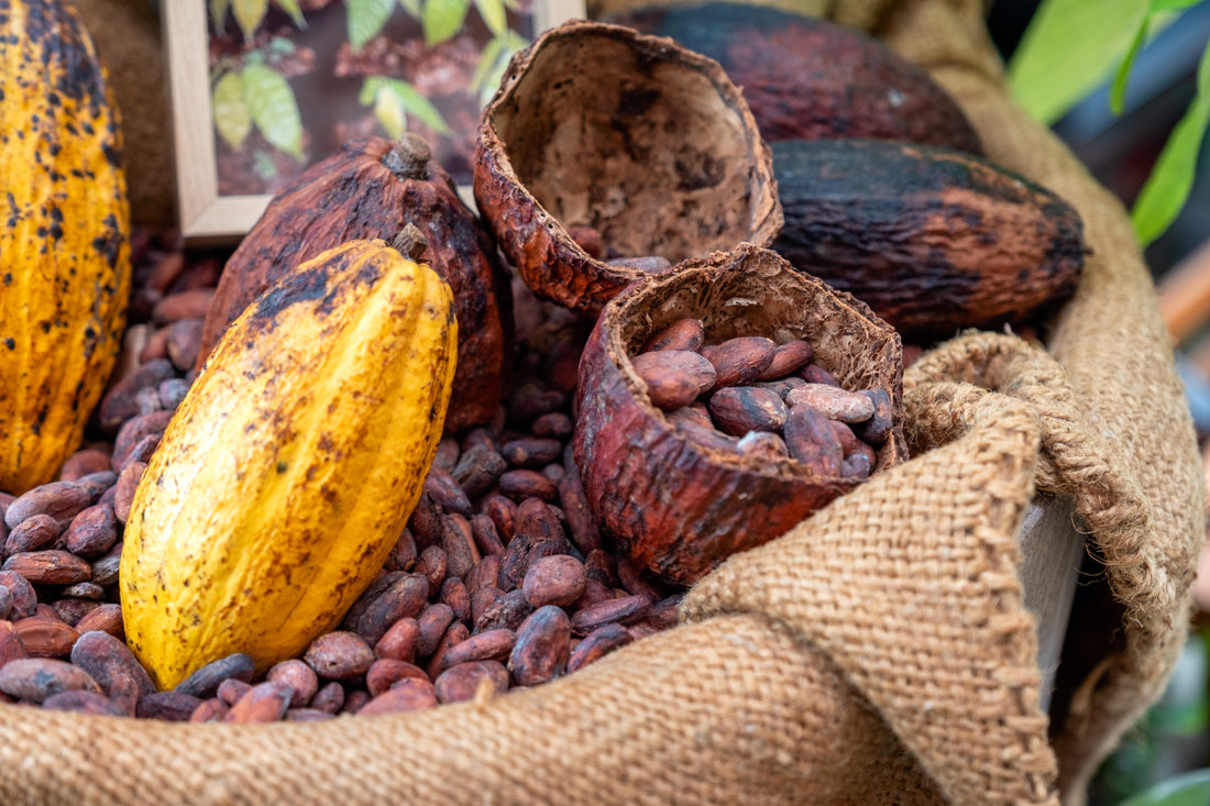 Navigating the Cocoa Market in April 2025: A Comprehensive Overview