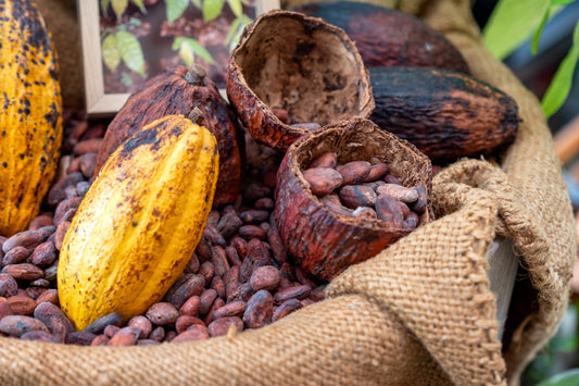 Navigating the Cocoa Market in April 2025: A Comprehensive Overview