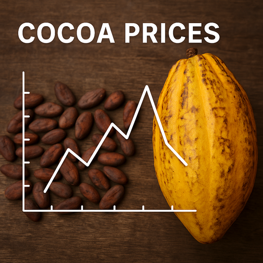 🍫 Cocoa Prices in 2025 — How Sapphy Keeps Your Chocolate Smooth, Premium & Fairly Priced