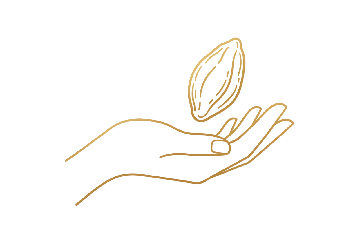 A simple line icon of a hand gently holding a cocoa bean, elegant thin strokes, soft premium feel, monochrome gold or brown, transparent background. 
